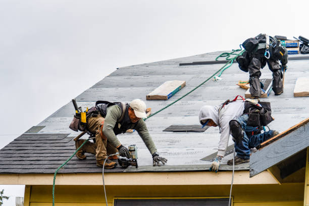 Professional Gutter Installation technician working in Rye, TX